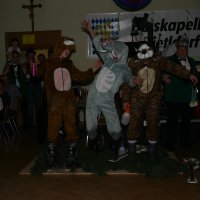 2011 Kapellenball