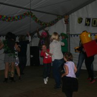 2011 Sommerfasching Plattenparty