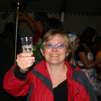 2011 Sommerfasching Plattenparty