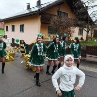 Faschingszug Dietldorf